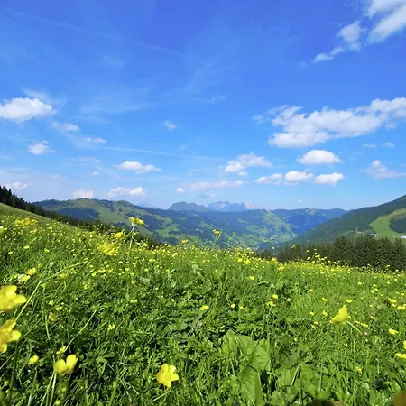 Large In Hinterglemm Saalbach-Hinterglemm
